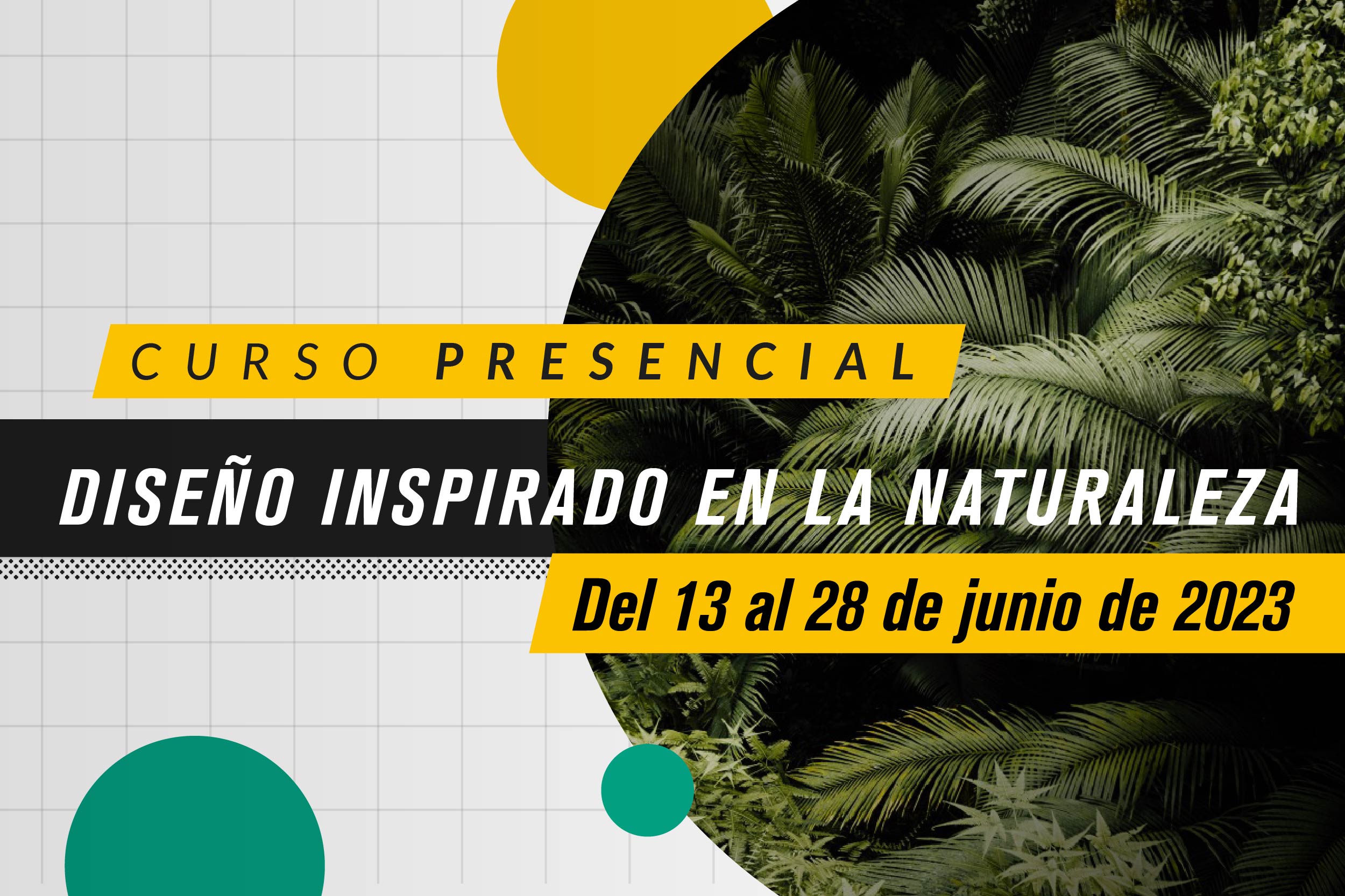 diseno inspirado naturaleza