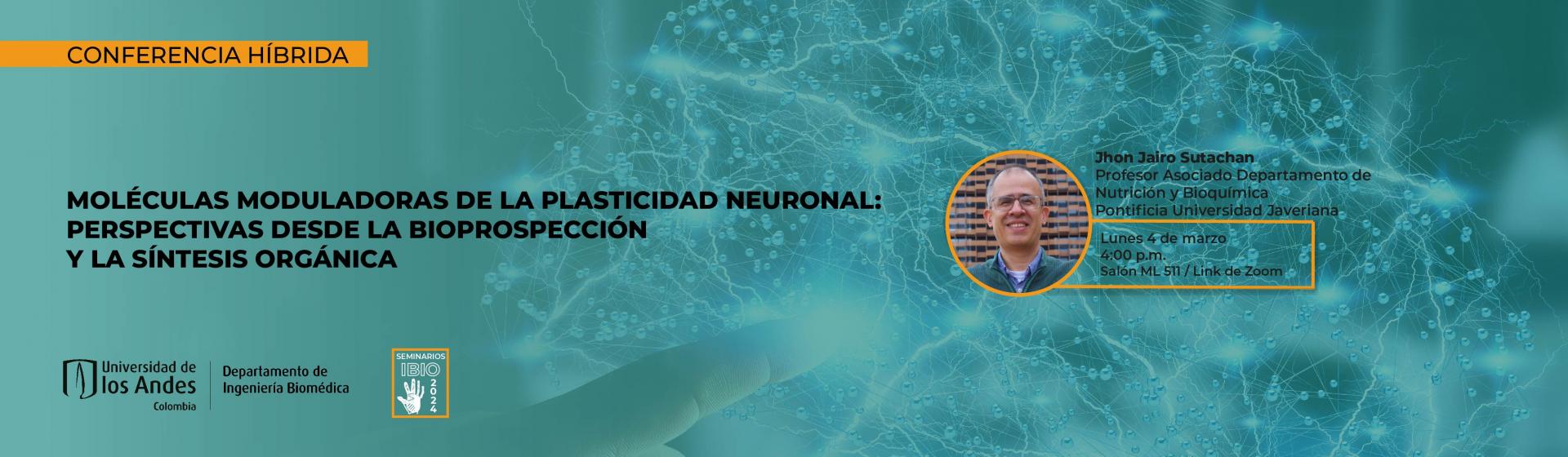 seminarioibio-plasticidad-neurona