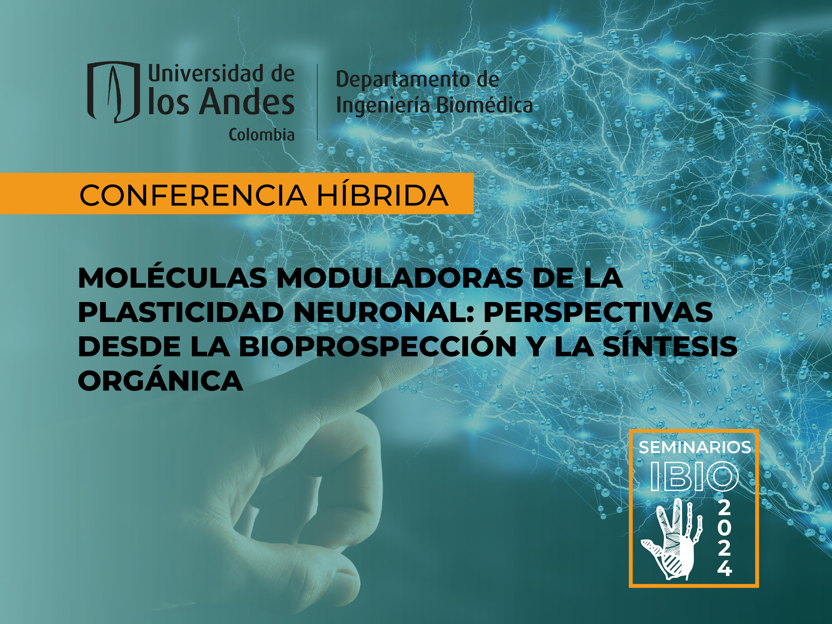 seminarioibio-plasticidad-neurona