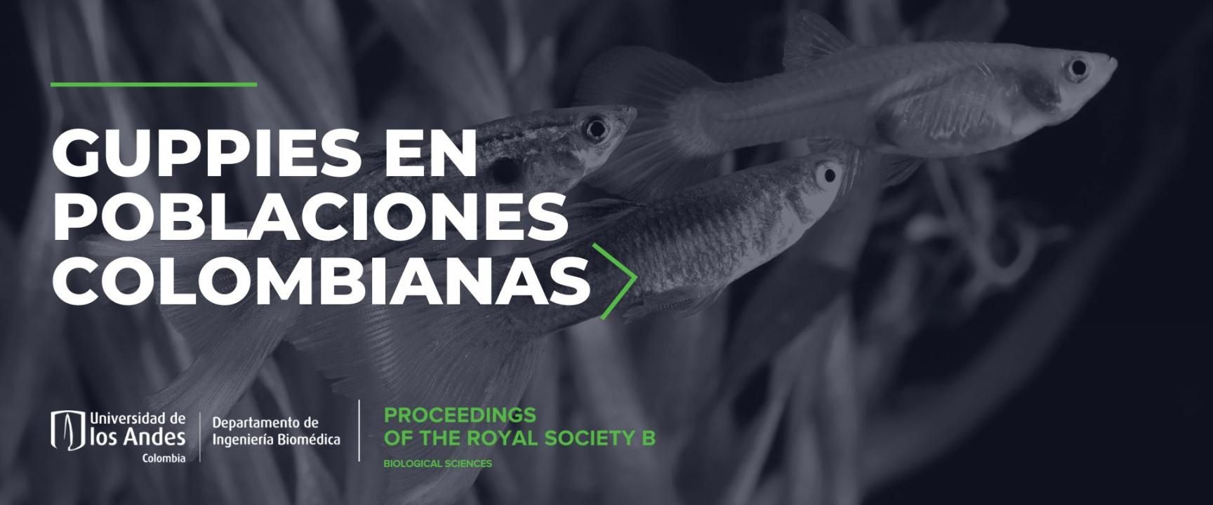  primer artículo acerca de guppys en poblaciones colombianas