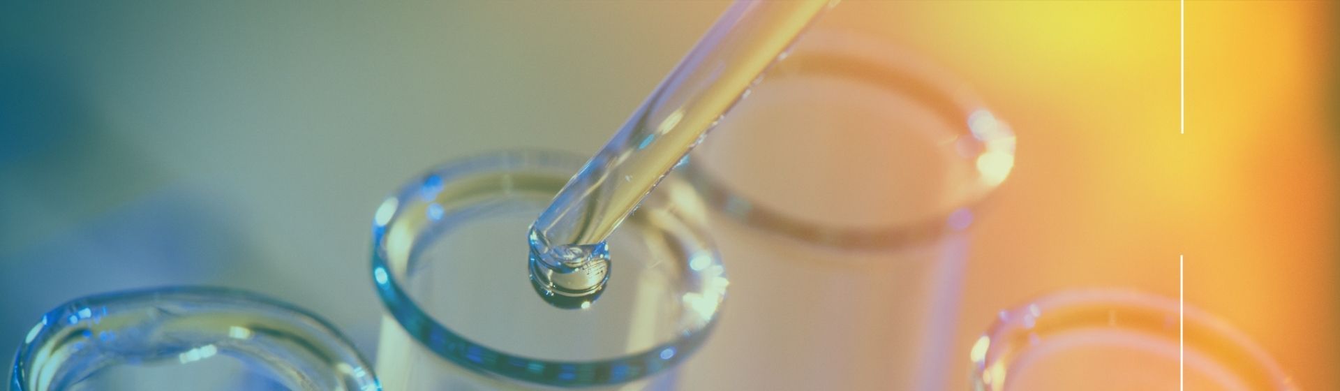 Nuevos aportes uniandinos a la nanoterapia y biofabricación