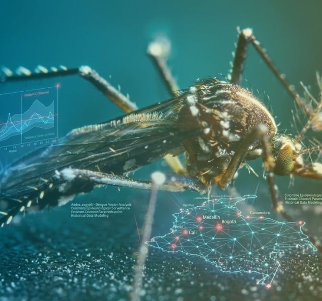 Investigadores de Uniandes evalúan el canal endémico, una de las herramientas oficiales para la vigilancia del dengue en Colombia Investigadores de Uniandes evalúan el canal endémico, una de las herramientas oficiales para la vigilancia del dengue en Colombia