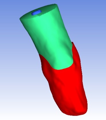 biomecanica