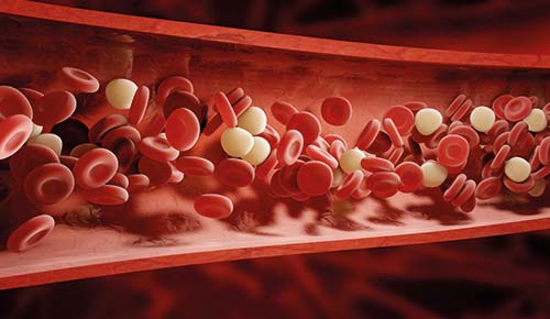 dinamica cardiovascular