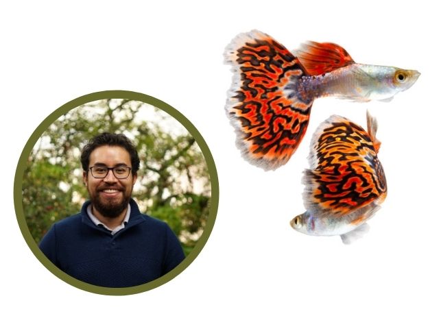 nuevo estudiante doctoral