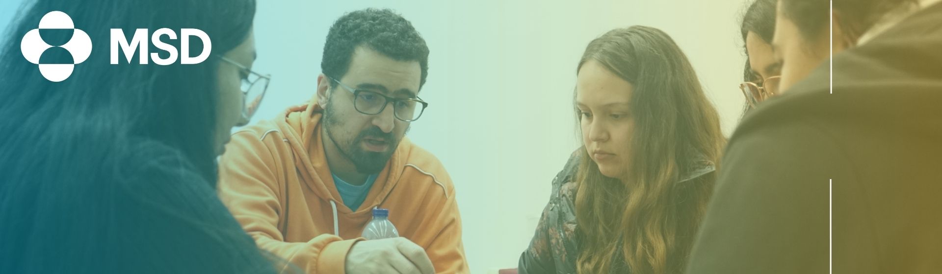 Curso MSD