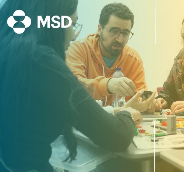  Curso MSD