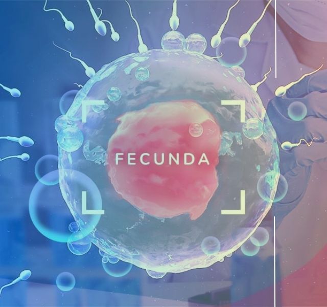 Fecunda