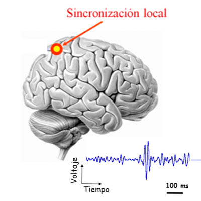 señales biomédicas