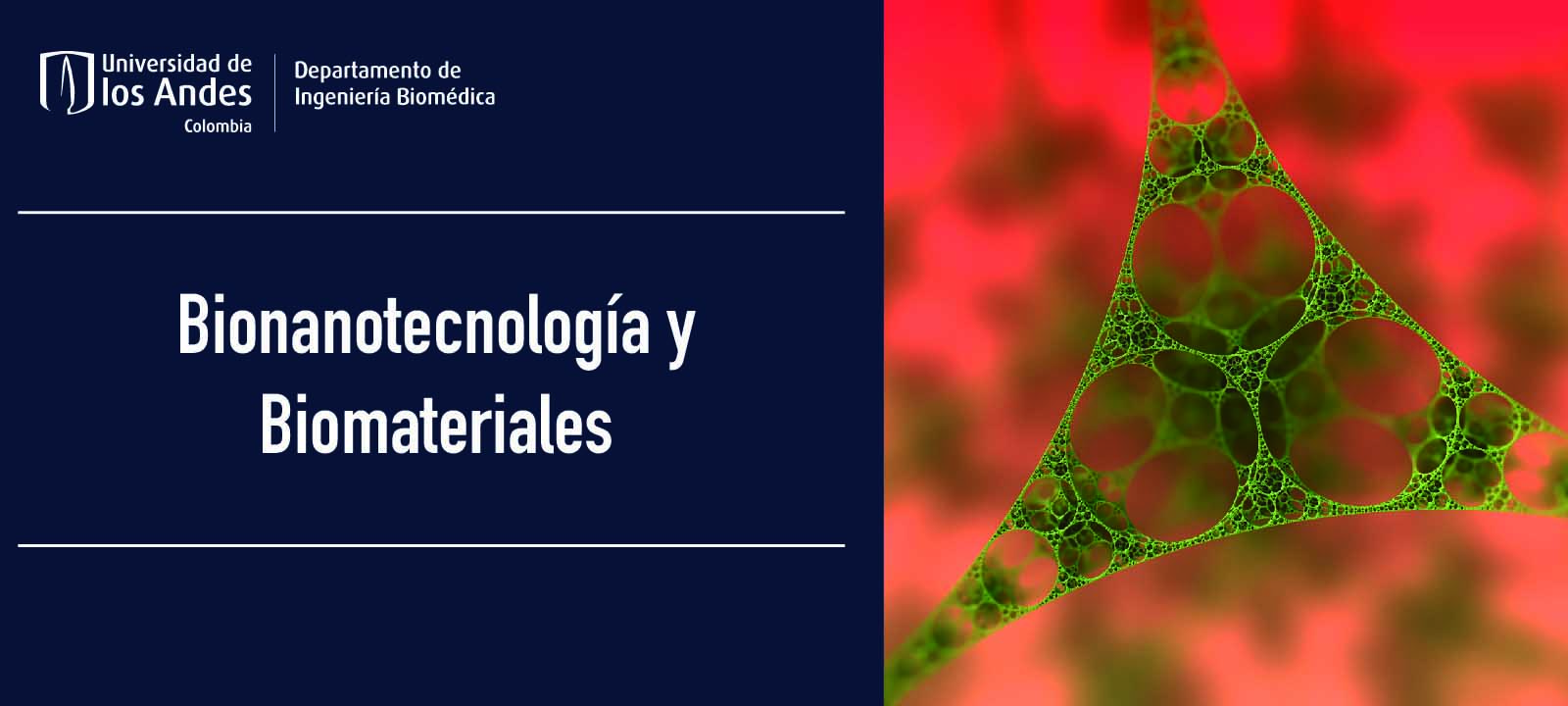 Nanobiomaterales e Ingeniería Biomólecular