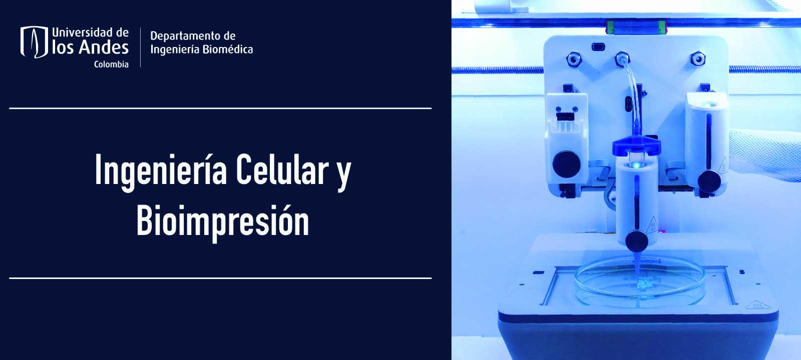 cell Engineering and Bioprinting