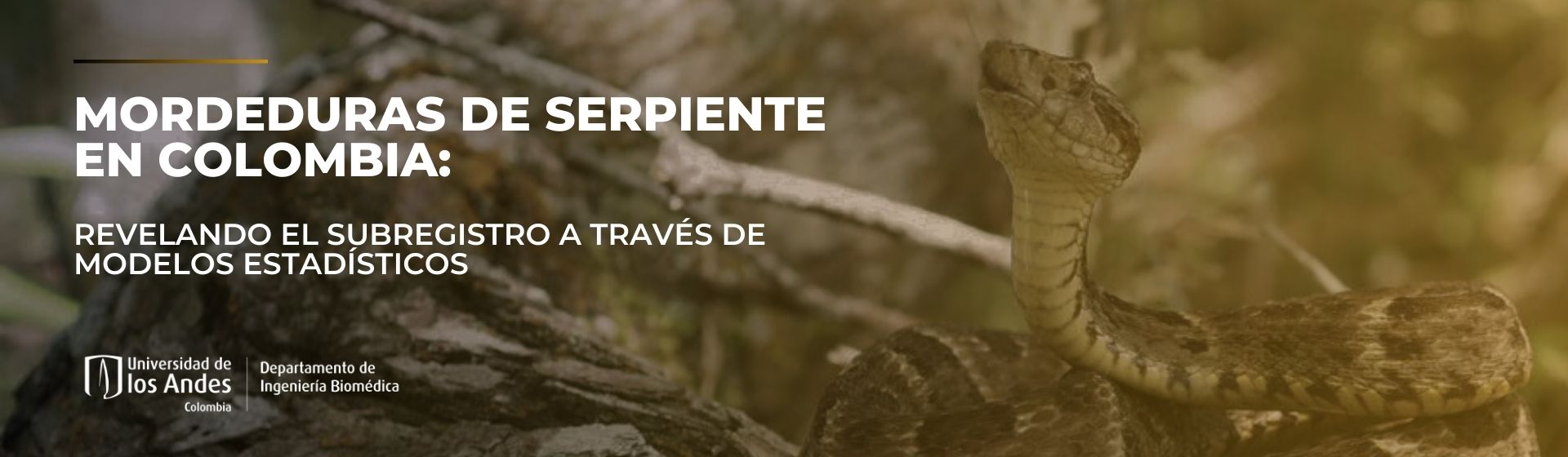 mordeduras de serpiente en Colombia