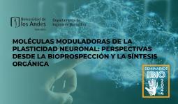 seminarioibio-plasticidad-neurona